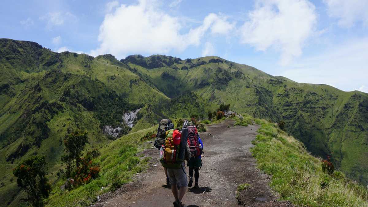 Trekking e escursioni vicino a Ischia: sentieri facili, panoramici e per famiglie